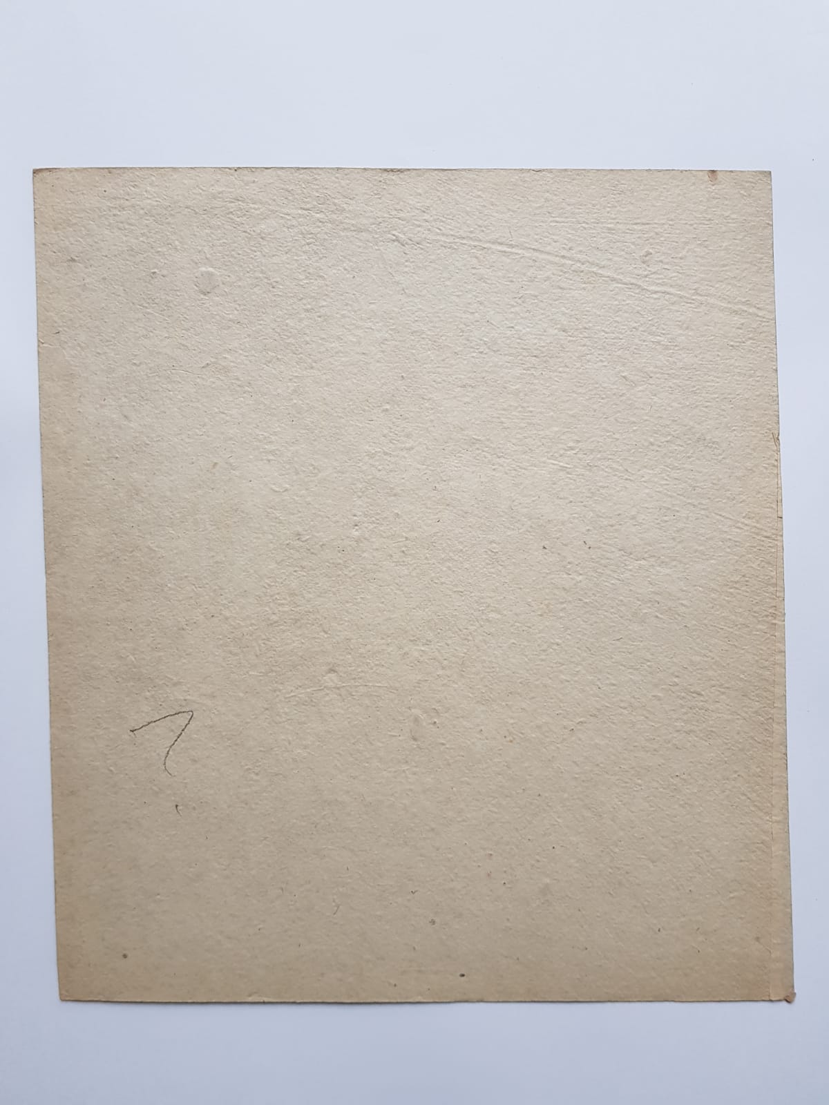 Songbird on Blossom Branch , Watercolor, Japan, First Half of the 20th Century