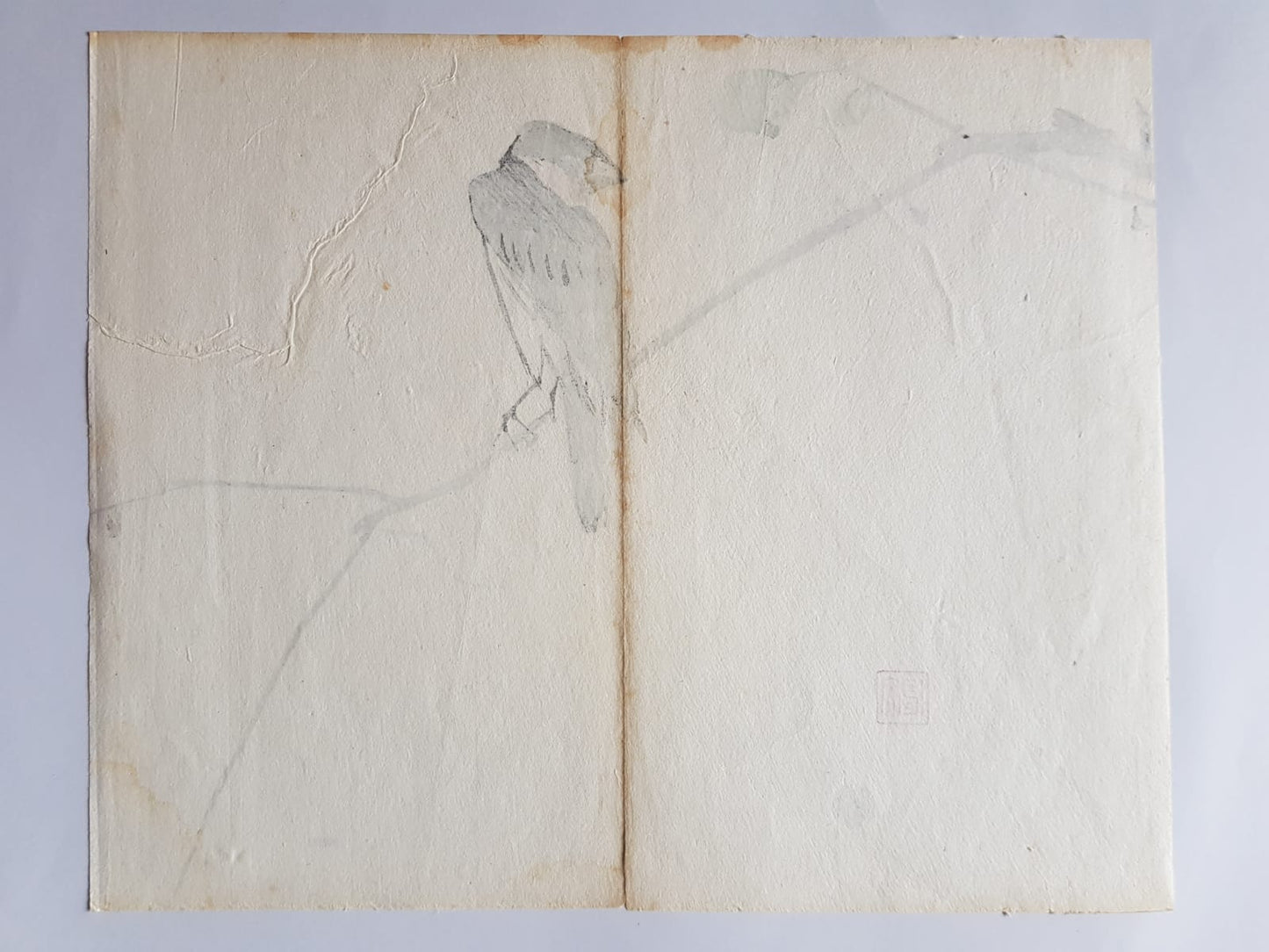 Authentic Early 20th Century Shin-hanga Swallow Print