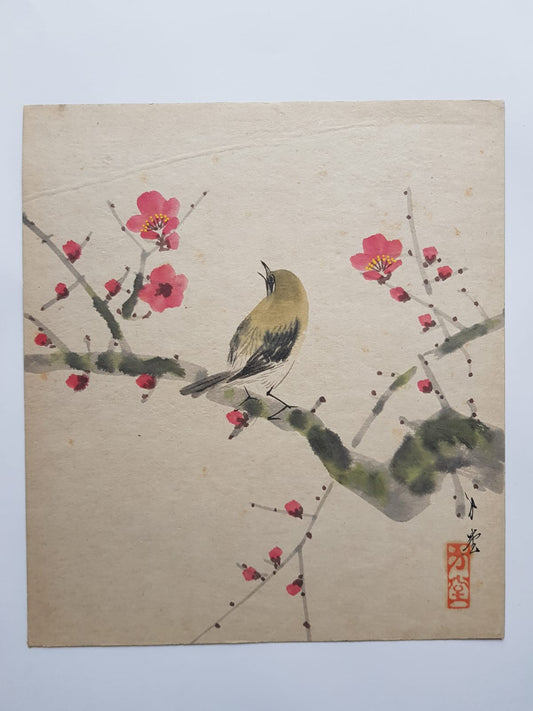 Songbird on Blossom Branch , Watercolor, Japan,  First Half of the 20th Century