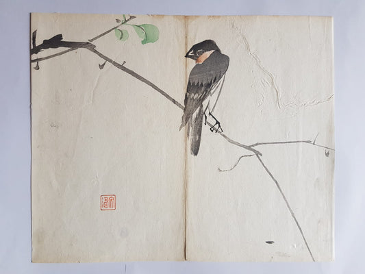 Authentic Early 20th Century Shin-hanga Swallow Print