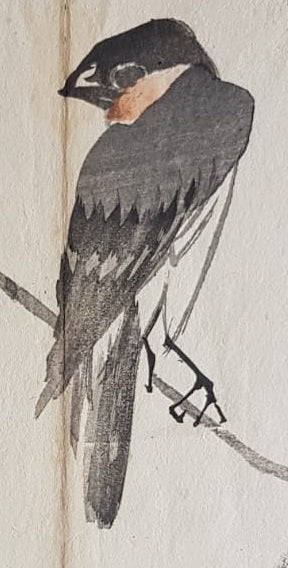 Authentic Early 20th Century Shin-hanga Swallow Print