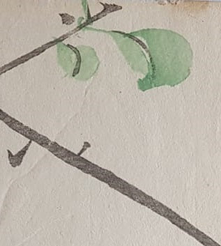 Authentic Early 20th Century Shin-hanga Swallow Print