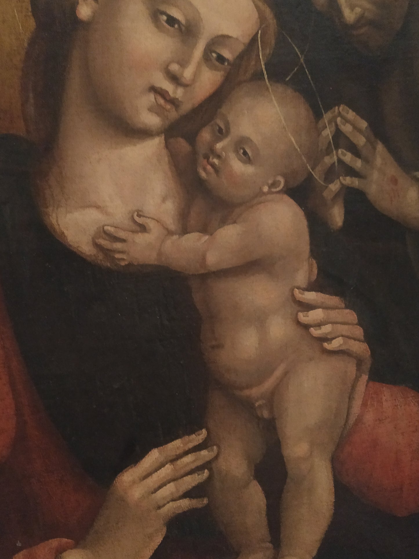 Madonna with Child among tthe Saints, Italian School, Giovanni Battista Giovenone,  16th Century