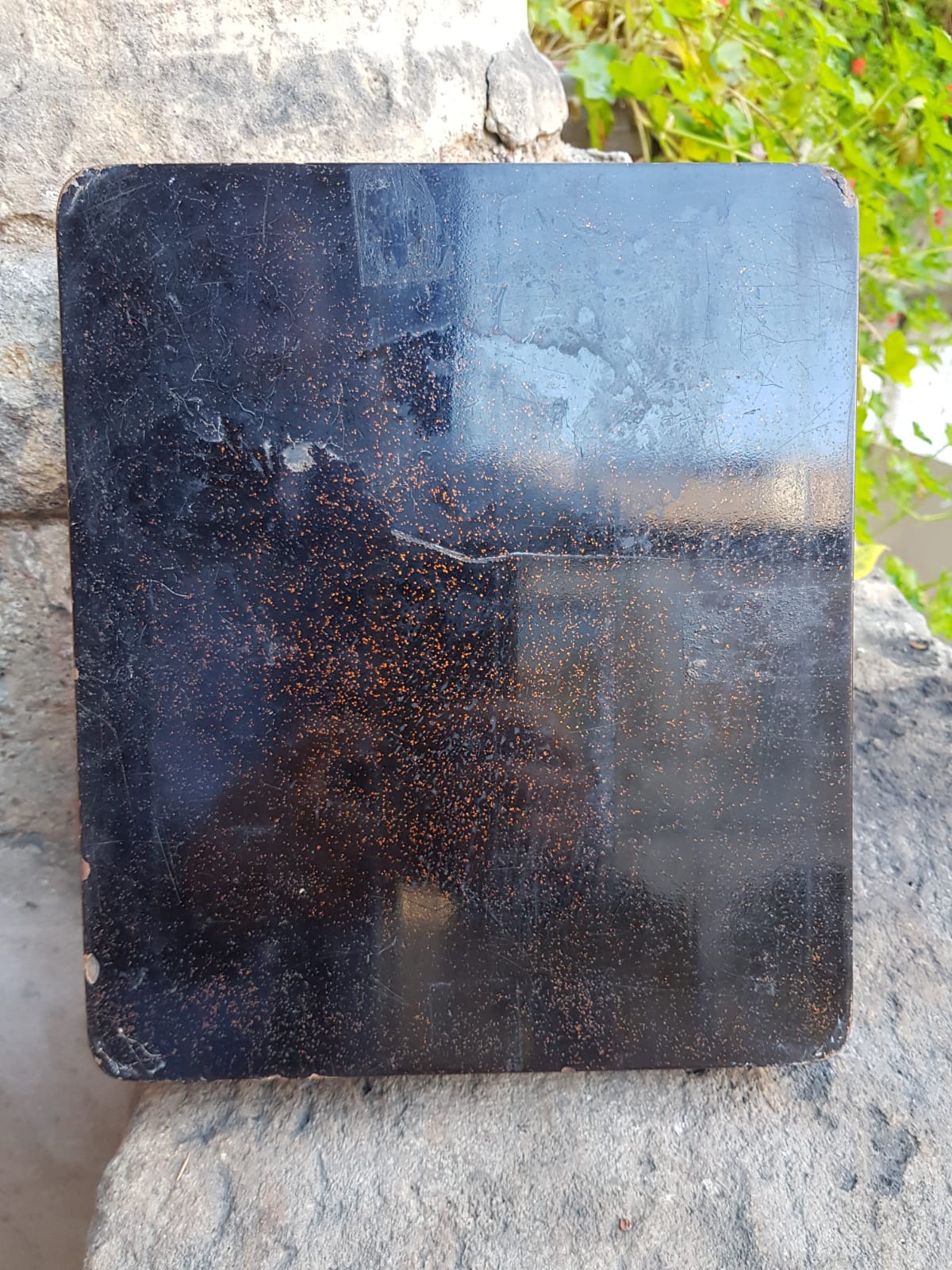 Antique Japanese Black Lacquer Box, Gold Maki-e Cranes & Pine Tree, Meiji Period, 19th Century