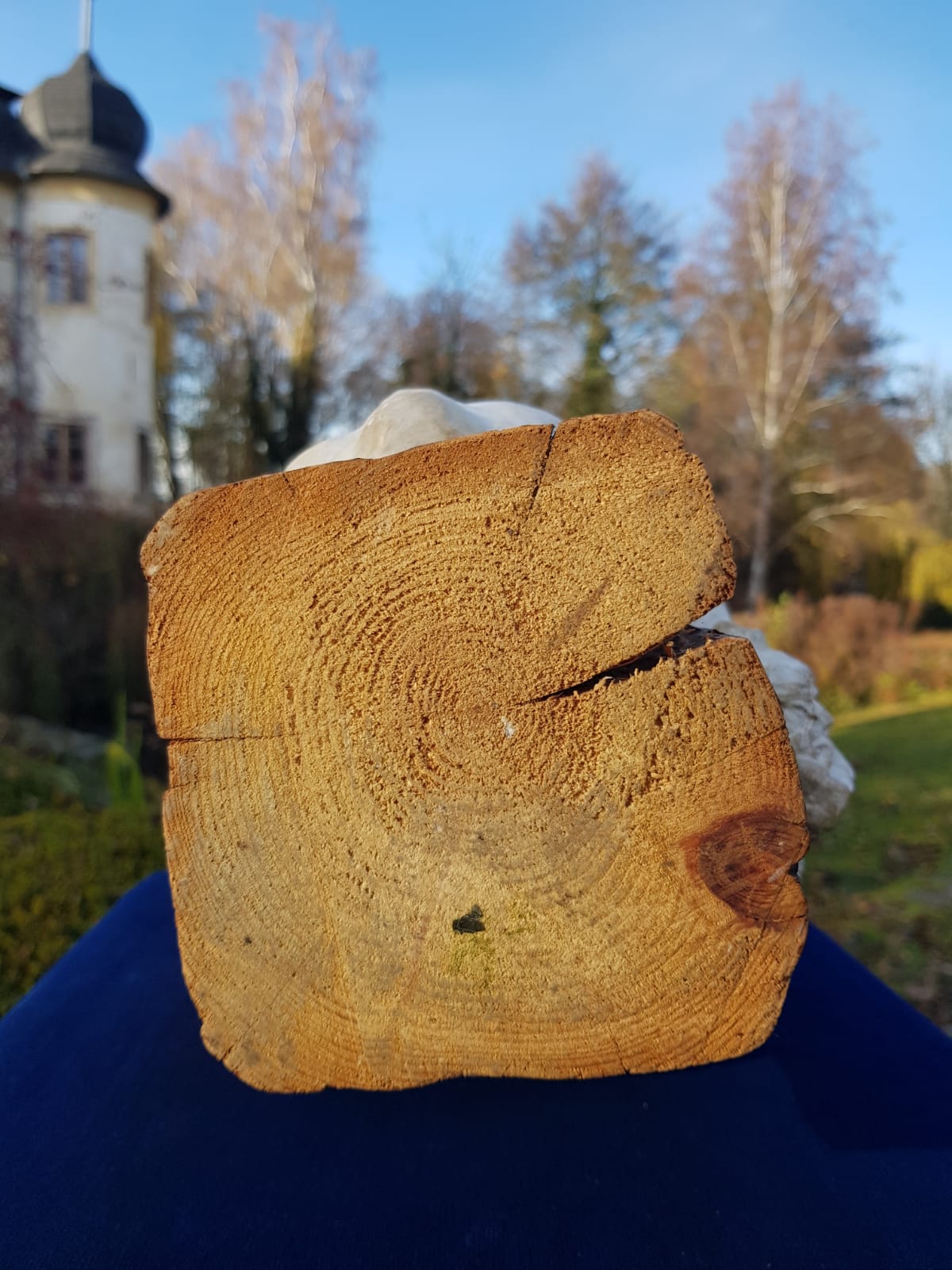"Girl" Plaster Bust on Wooden Base, by Carl-Einar Borgström, Sweden, mid 20th Century