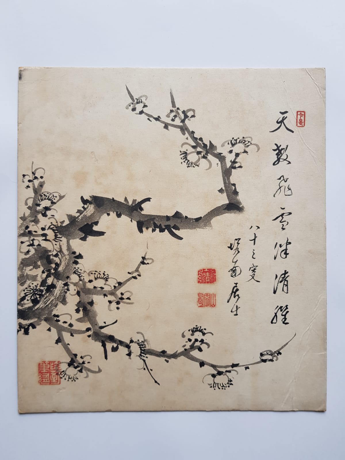 Plum Blossoms, Vintage Print, Japan, First Half of the 20th Century