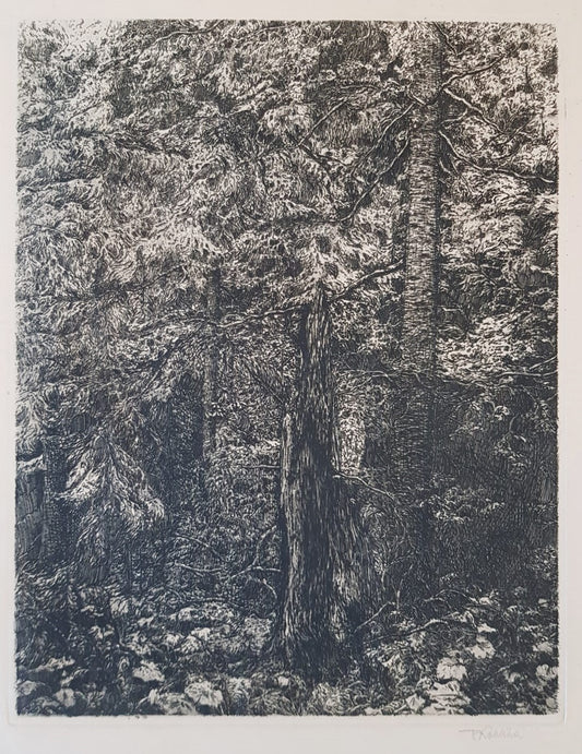 František Kobliha – "Boubín Primeval Forest" – Large Original Signed Woodcut, Czechoslovakia 1925