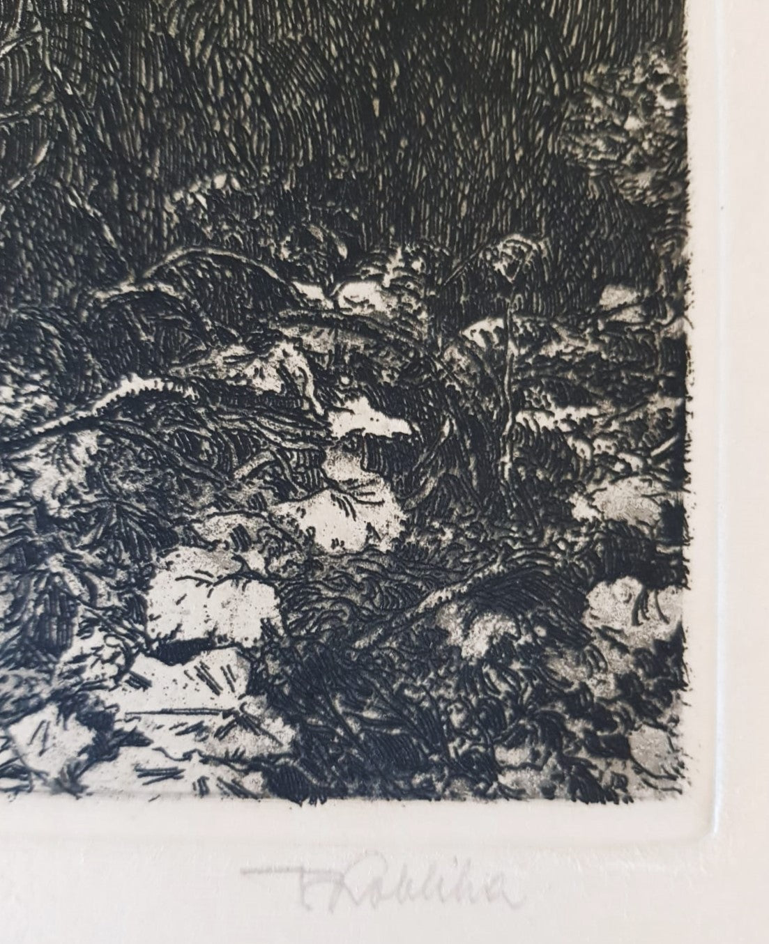 František Kobliha – "Boubín Primeval Forest" – Large Original Signed Woodcut, Czechoslovakia 1925