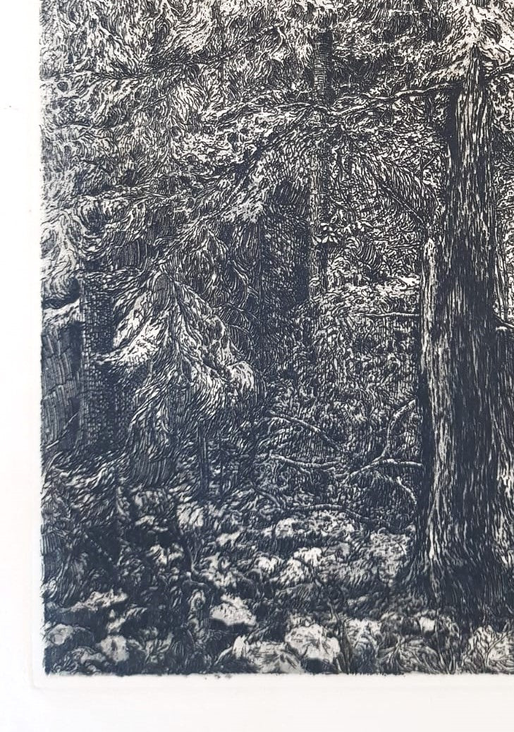František Kobliha – "Boubín Primeval Forest" – Large Original Signed Woodcut, Czechoslovakia 1925