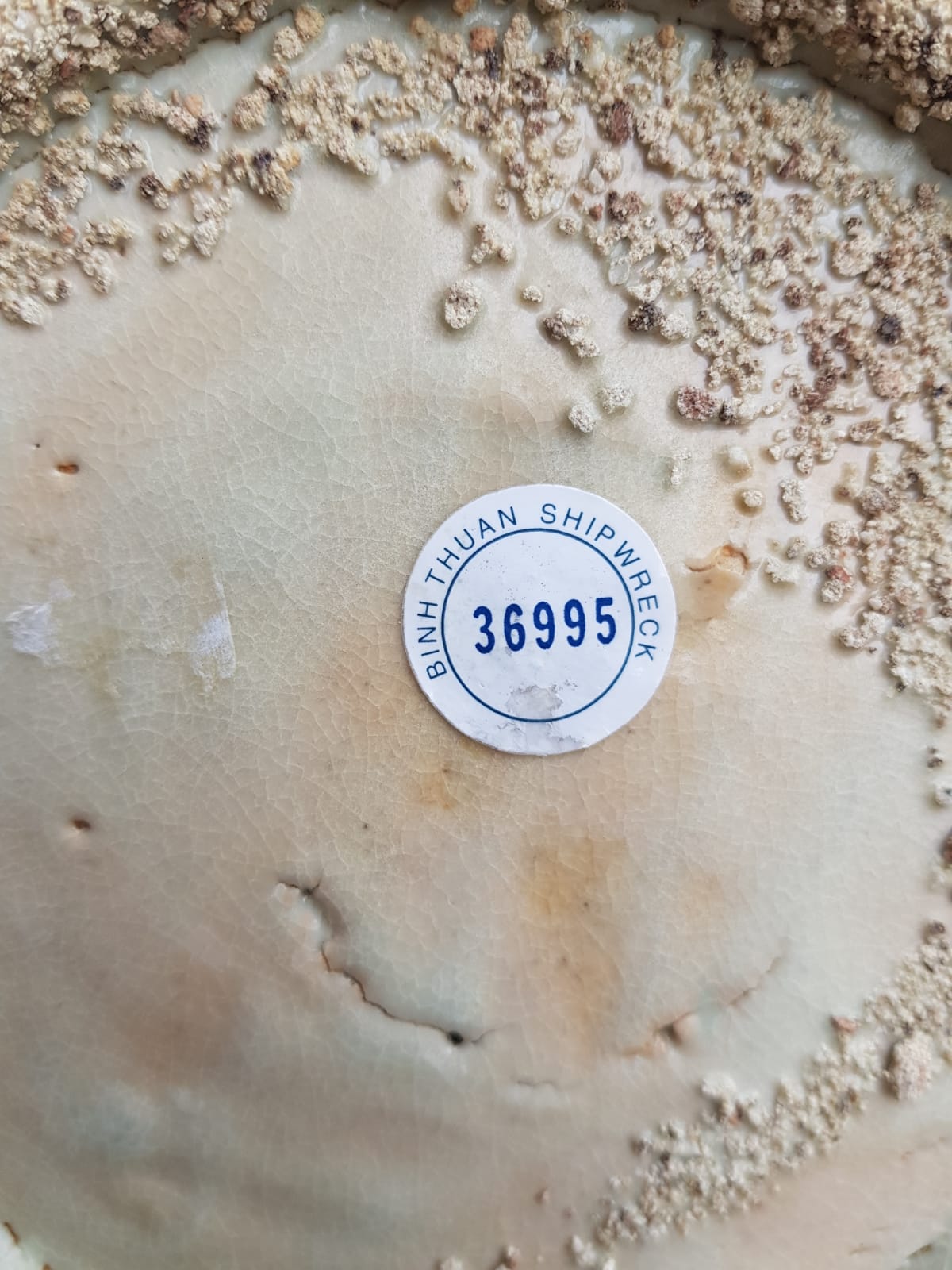 Set of 3 "Phoenix" Plate, Binh Thuan Shipwreck, Swatow, Ming Dynasty, China 1608