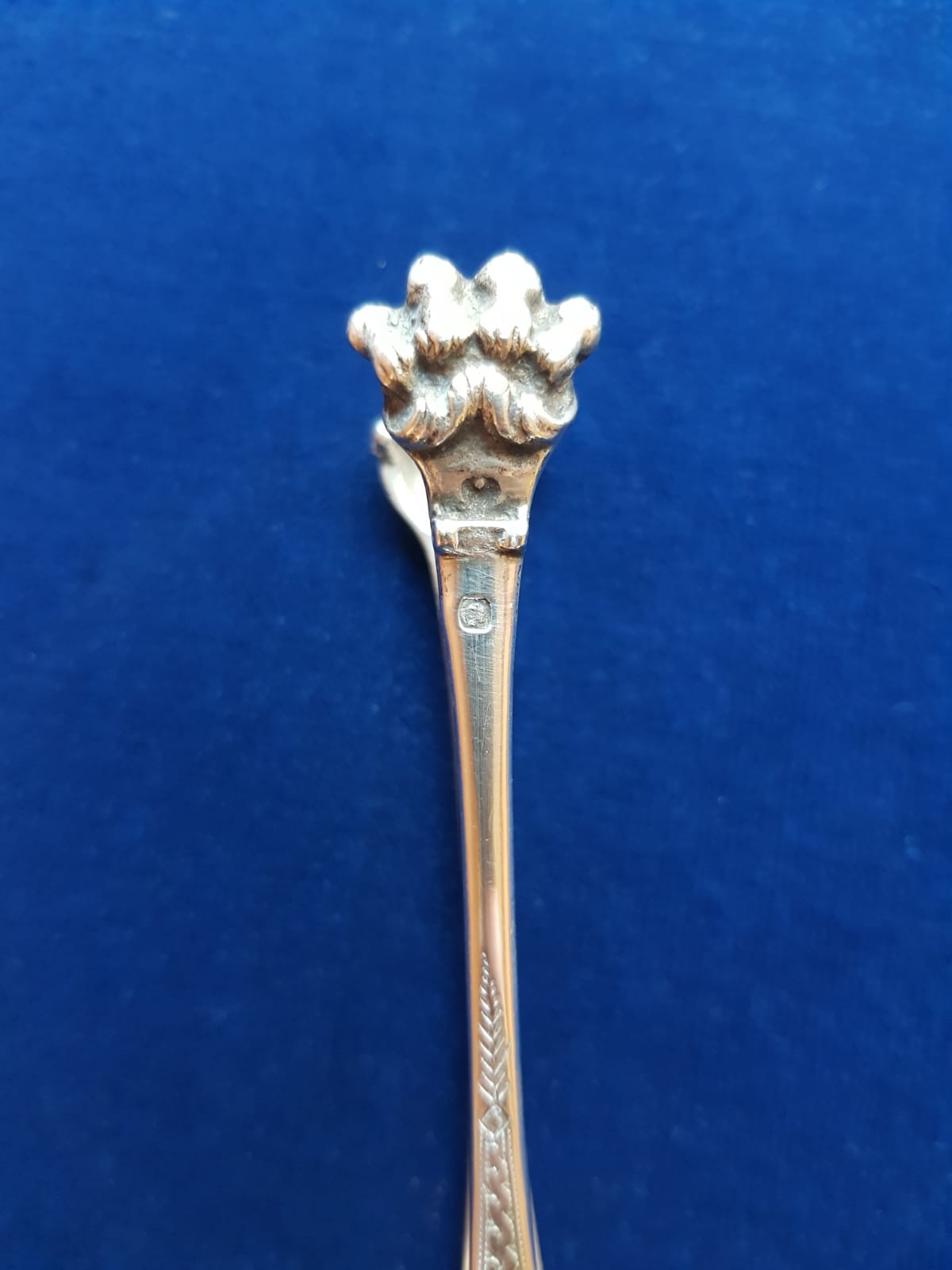 Antique 925 Sterling Silver Sugar Tongs, France, 19th Century