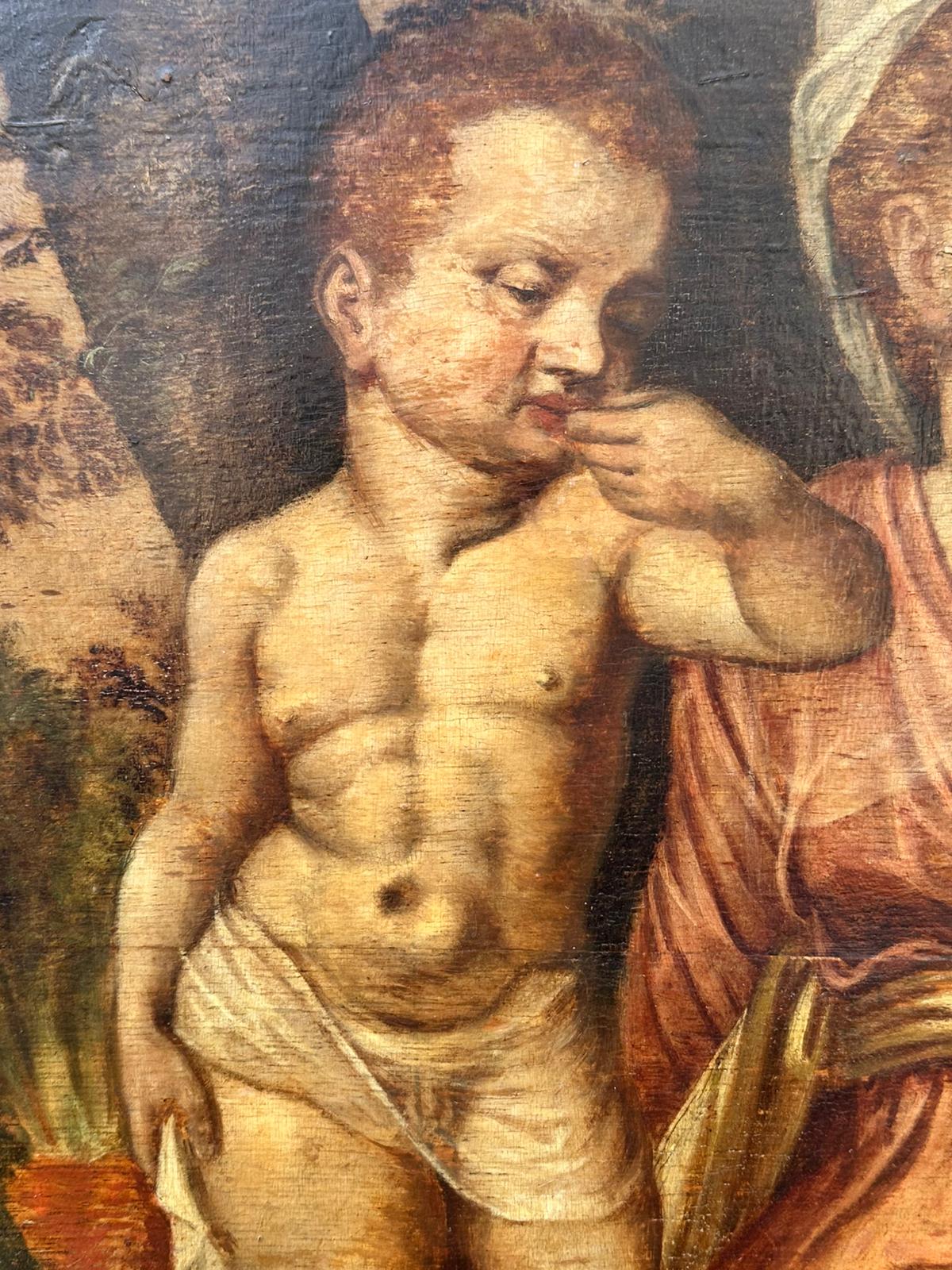 North European School, 16th Century, Oil on Panel, "Madonna and Child with Infant Figures in a Landscape"