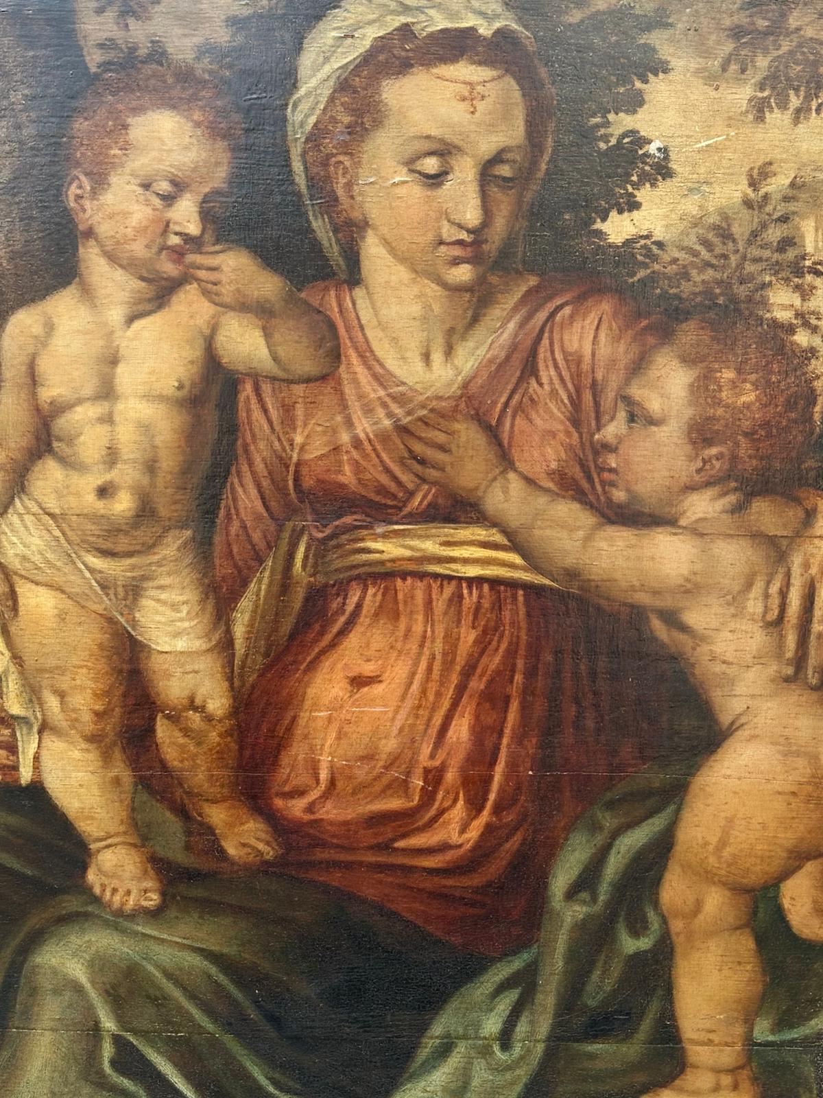 North European School, 16th Century, Oil on Panel, "Madonna and Child with Infant Figures in a Landscape"