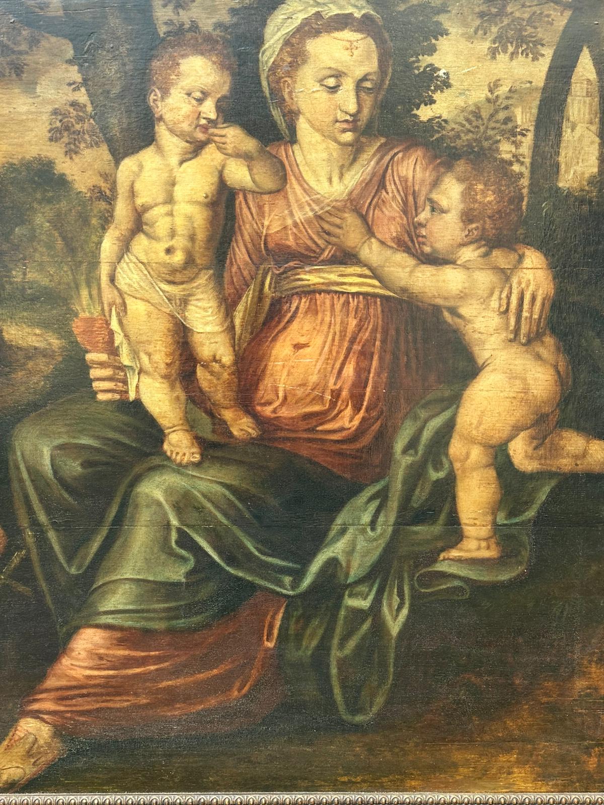 North European School, 16th Century, Oil on Panel, "Madonna and Child with Infant Figures in a Landscape"