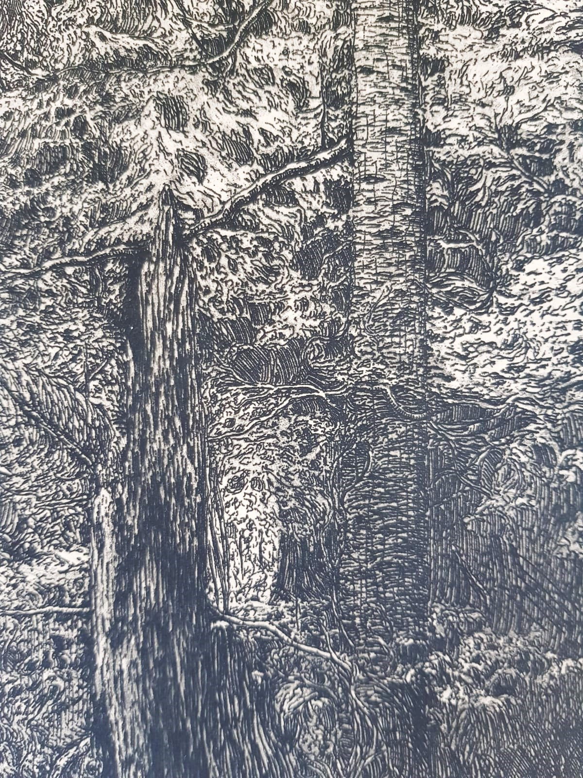 František Kobliha – "Boubín Primeval Forest" – Large Original Signed Woodcut, Czechoslovakia 1925