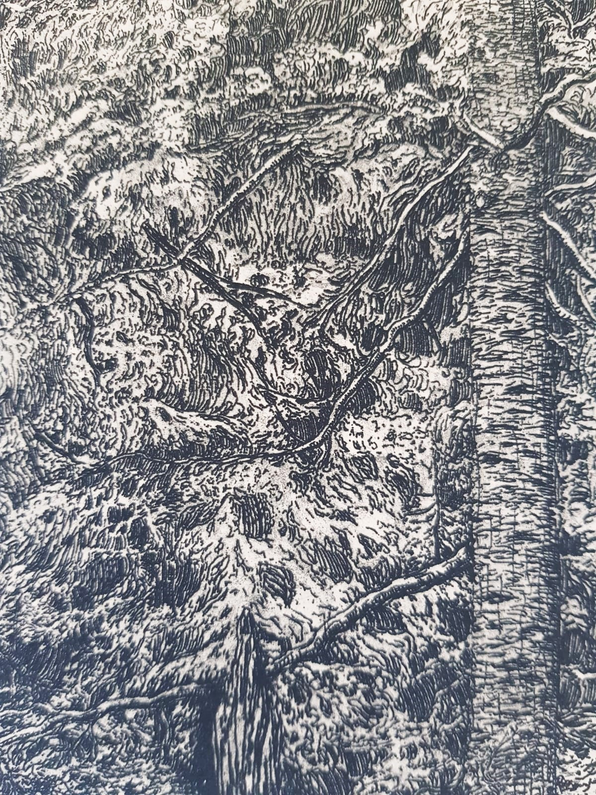 František Kobliha – "Boubín Primeval Forest" – Large Original Signed Woodcut, Czechoslovakia 1925